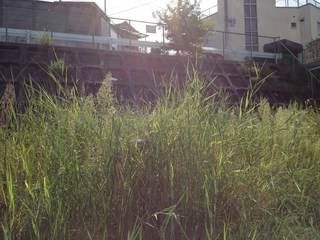 2012-09-24.jpg