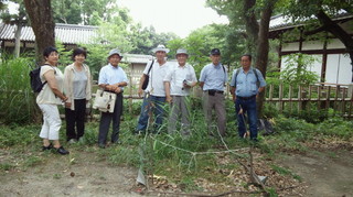 2013.07.22.Zg.jpg
