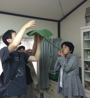 2015_07_12_06_52_38.jpg