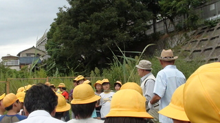 DSC02265.JPG