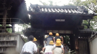 DSC02278.JPG