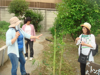 DSC03511.JPG