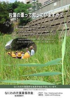 片葉の葦2014-04-10.jpg