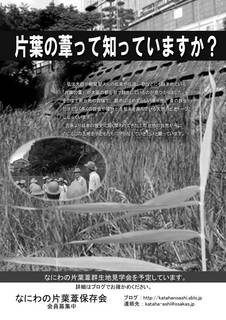 片葉の葦2014-04-10mono.jpg