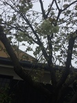 IMG_6398.JPG