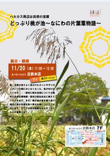 kataha-poster2014.jpg