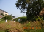 RIMG3942.JPG