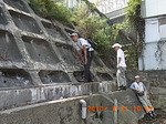 RIMG3947.JPG