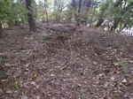20131111rr 024.jpg