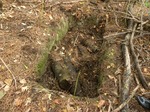 20131111rr 035.jpg