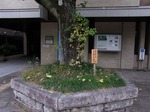 20131125cx京都御苑 026.jpg