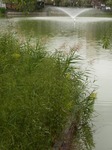 20131021r 068.jpg