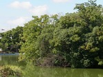 20131021r 106.jpg