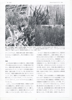 shicchi_0003.jpg